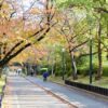 Access to Osaka Kema Sakuranomiya Park