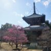 How to get to  Kyoto Seiryoji Temple