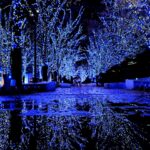 Recommended lighting spots in Osaka, Okinawa and Kyoto, come together for the most romantic view of winter!