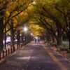 Top 10 autumn foliage spots in Tokyo!