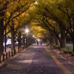 Top 10 autumn foliage spots in Tokyo!