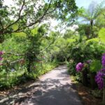 How to get to Natural Ecology Theme Botanical Garden, Bios Hill/Buy discount Tickets