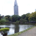 【Sightseeing】Shinjuku Gyoen National Garden