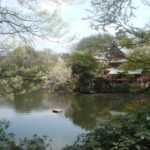 【Tokyo】Inokashira park