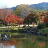 How to get to Kyoto Maruyama Park