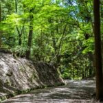 How to get to Kasuga mountain Primeval Forest