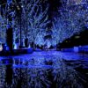 Recommended lighting spots in Osaka, Okinawa and Kyoto, come together for the most romantic view of winter!