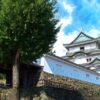 How to get to Wakayama Castle