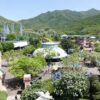 How to get to Seoul Land/Buy discount Tickets